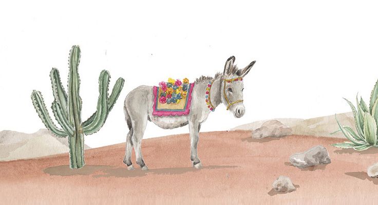 bt_bb_section_bottom_section_coverage_image